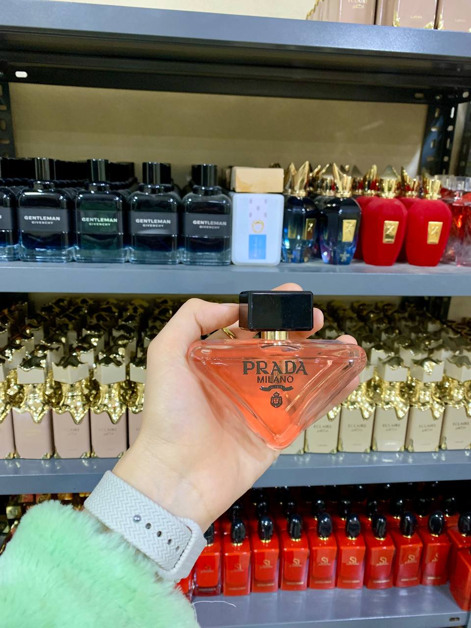 مصغّر المنتج 1: برادا بارادوكس