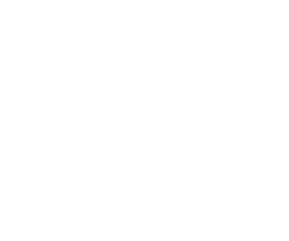 NITRO